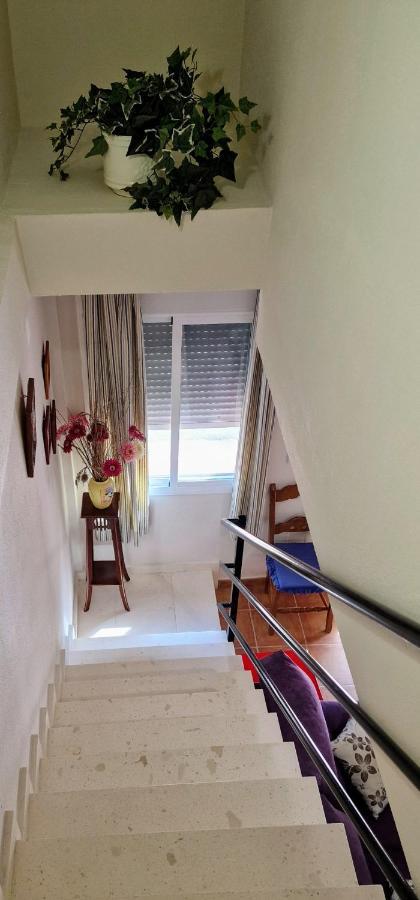 La Terracita Del Bosque Apartment Екстериор снимка